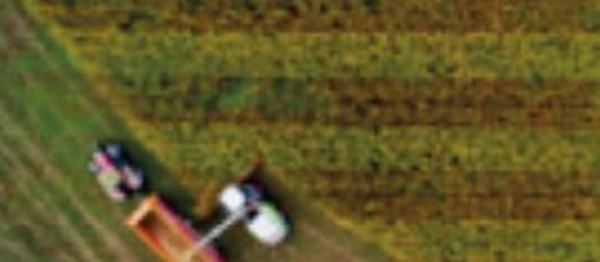 Rabat-Salé-Kénitra: Les dernières précipitations s'annoncent de bon augure pour la campagne agricole 2022-2023