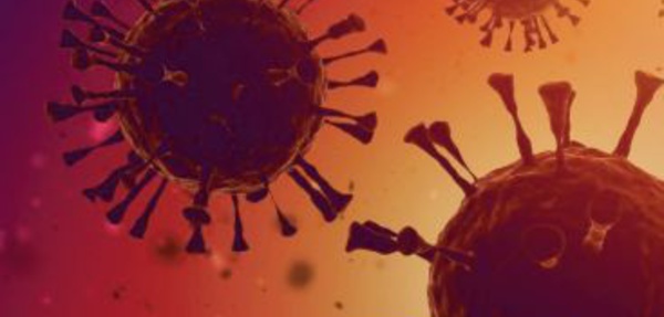 Le Maroc souligne l'impératif de maintenir la coordination pour protéger la santé mondiale