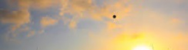 ​Réception en l'honneur de l’EN féminine de beach-volley