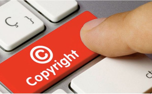 Le Maroc consacre sa supériorité en matière de protection des droits de propriété intellectuelle