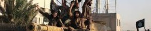 ​L'Etat islamique tue 30 combattants de l'armée syrienne