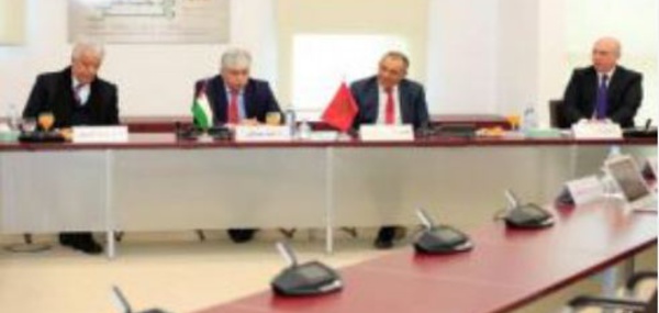 Les initiatives de développement menées par le Maroc au profit de l'Afrique mises en avant