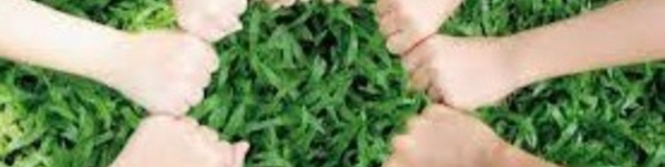 Création du Collectif marocain pour  le développement et l'entrepreneuriat solidaire