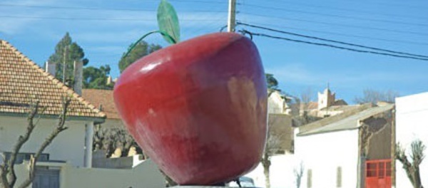 Le Festival de la pomme , une opportunité pour promouvoir la filière