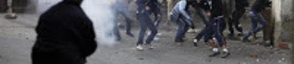 “ Les Ralliés ”, un documentaire  palestinien mettant à nu les atrocités commises par le Polisario