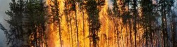 ​Programme de coopération Maroc-Etats-Unis pour la gestion des feux de forêt
