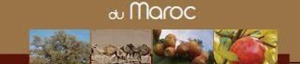 ​Lancement de la première édition du Concours marocain des produits du terroir
