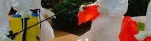 ​Malabo recrute 50 médecins