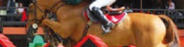 ​Le cheval Garrogorille remporte  le Grand Prix SM le Roi Mohammed VI