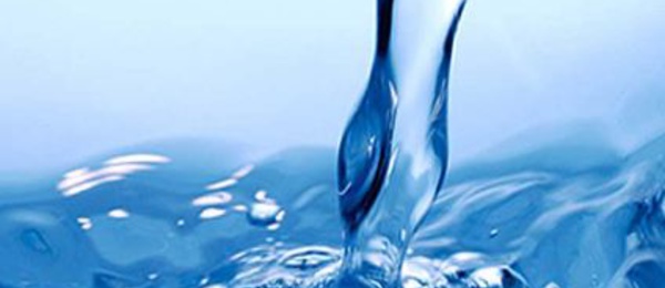 Le Consul général du Royaume Uni met en avant les opportunités de collaboration dans le secteur agricole pour surmonter les défis liés à l' usage efficient de l'eau