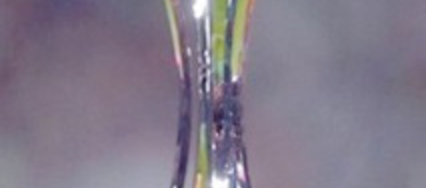 ​Tétouan enregistre un nombre  record de visiteurs du Trophée