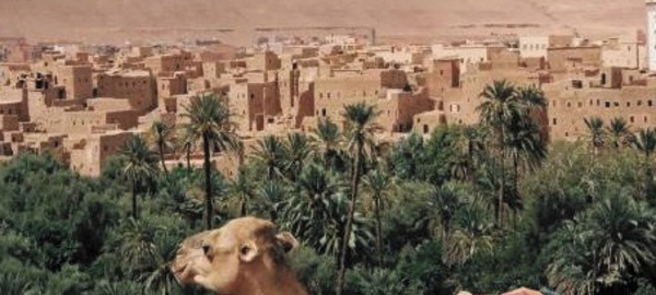 ​Le troisième Forum international des oasis s’attaque à l’agriculture familiale