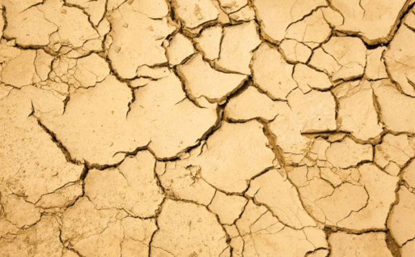 La lutte contre les sécheresses pluriannuelles nécessite une bonne gouvernance des ressources en eaux souterraines