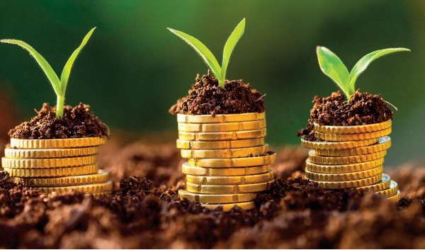 Et le privé dans tout ça ?