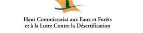 51 cadres recrutés pour renforcer l'encadrement du domaine forestier