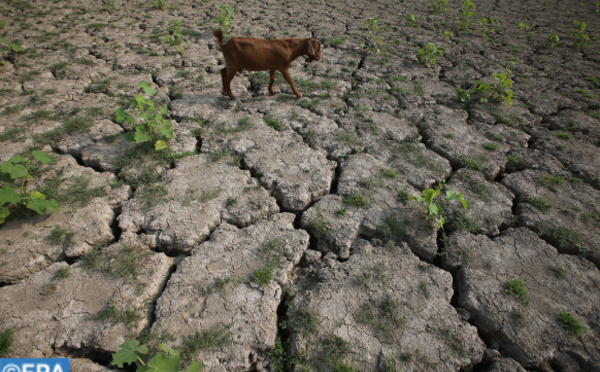 La "Déclaration de Riyad" souligne la nécessité de faire face aux défis climatiques