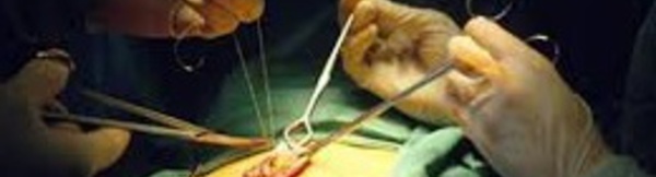 Le premier greffé du foie à Casablanca quitte l'hôpital