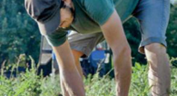 Agriculture: Une convention pour faciliter le recrutement de saisonniers marocains en France