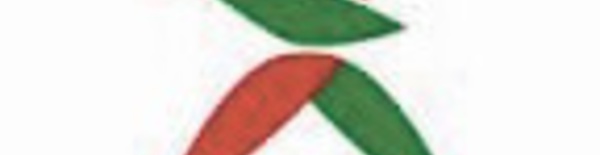 Réunion pour l'examen des dossiers relatifs au fonctionnement quotidien du ministère de la Jeunesse et des Sports