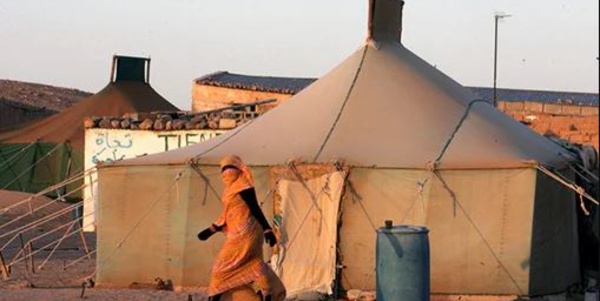 La menace sécuritaire du "polisario" sous la loupe d'un think tank serbe