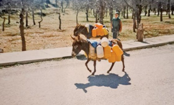 REPORTAGE. La pénurie d’eau vue par ceux qui en pâtissent le plus !