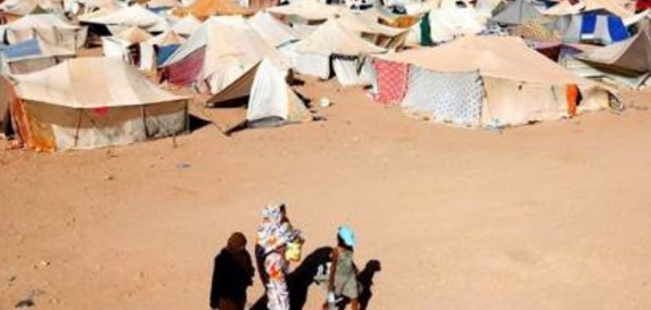 Enrôlement militaire systématique d'enfants dans les camps deTindouf