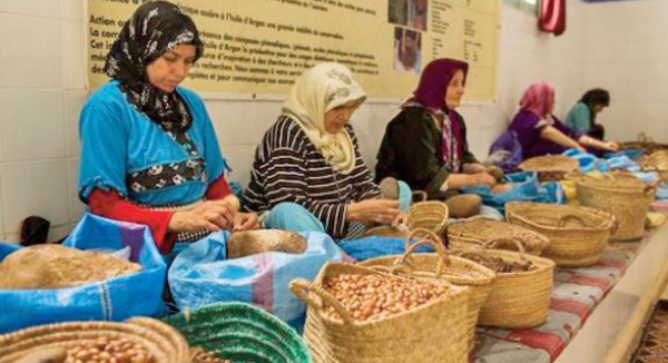 La Fondation OCP accompagne plus de 800 coopératives marocaines et africaines