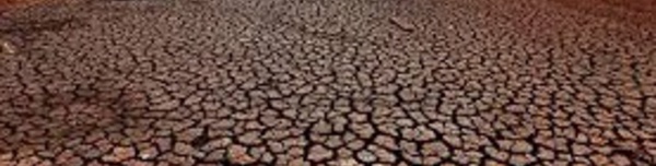 ​Le réchauffement rend incertaine la sécurité alimentaire mondiale dans les prochaines décennies