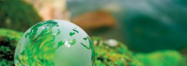 Le 1er Congrès international des ressources naturelles et environnement à Taza