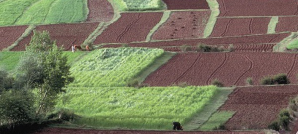 ​La campagne agricole s’annonce sous de bons auspices