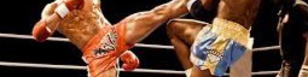 ​De l’or pour Chakir et de l’argent pour Falak