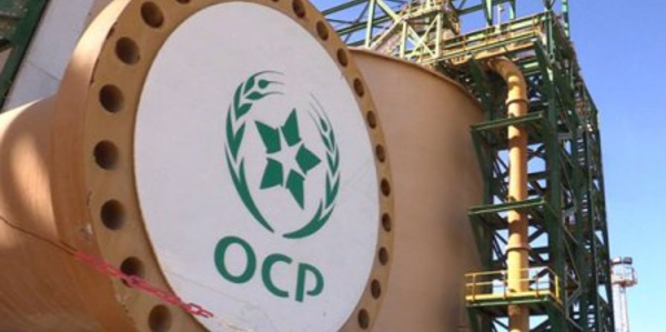 OCP: 44,3 MMDH d'investissements prévus en 2023