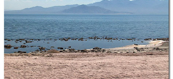 La Salton Sea, bombe à retardement écologique dans le désert de Californie