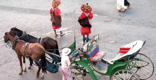 Les activités agricoles à la rescousse…