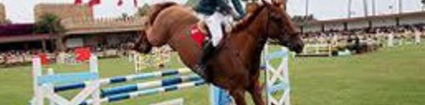 ​Concours officiel de saut d'obstacles de la Garde Royale