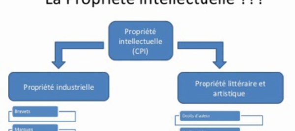 ​Les propriétés intellectuelle, industrielle et commerciale en question
