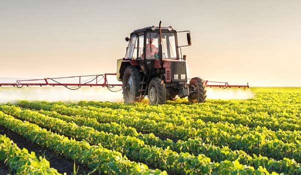 L’activité agricole marque le pas