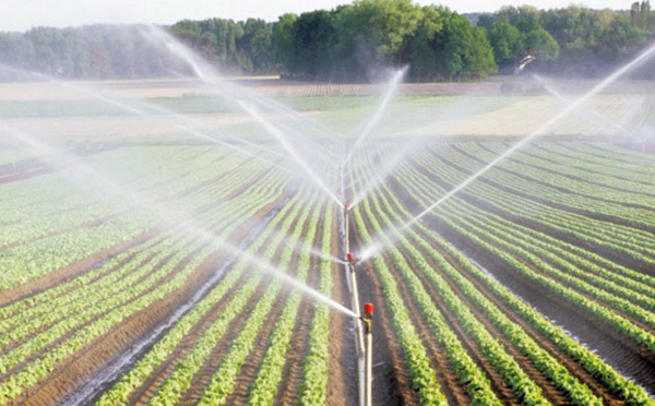 Campagne agricole : Le volume de pluviométrie atteint 77 mm, en baisse de 44%