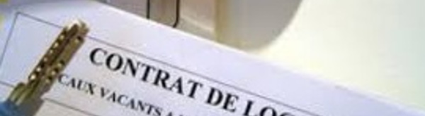 Le logement destiné à la location sous la loupe