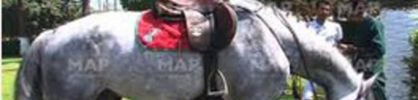 ​Le cheval Tinkerbell KDW Z remporte le Prix Feue S.A.R la Princesse Lalla Amina