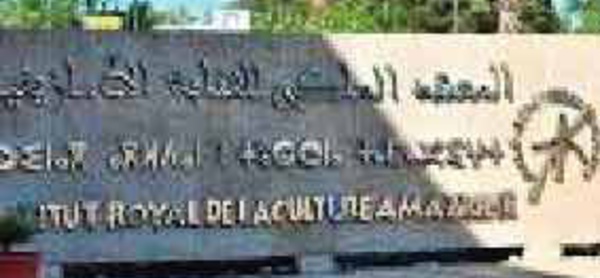 Colloque international à Rabat. "Passerelles de connaissance : interprétation de l'altérité dans la pensée et la traduction"