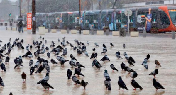 “La place des pigeons ” de Casablanca: Un héritage historique et un lieu touristique toujours très prisé