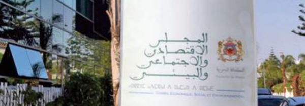 Le CESE procède au renouvellement annuel de ses instances