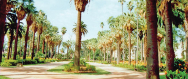 L’Hermitage, un parc centenaire au beau milieu de Casablanca