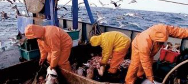 Hausse de 13% des débarquements de pêche à fin février