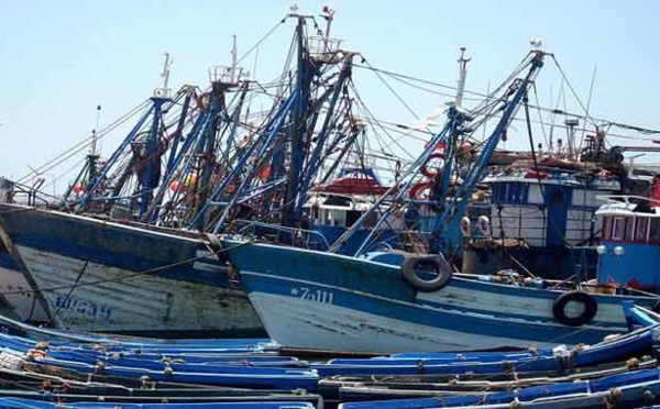 Port de Tarfaya: Hausse de 62% des débarquements de pêche