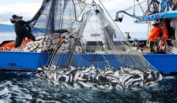 Contraction de l’activité de la pêche en février dernier