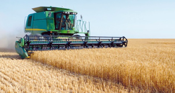 ​La production des céréales à Fès estimée à 4 millions de quintaux
