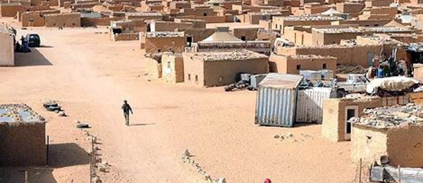 Pour l’ONG chilienne, DHSF, le polisario est un “facteur d'instabilité”