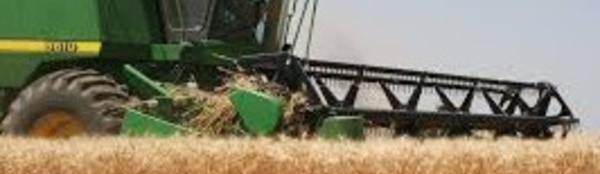 Hausse de la production agricole et baisse des prix